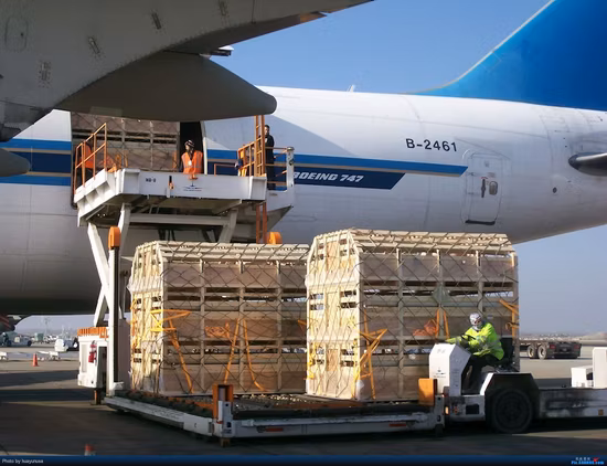 Professioneller Seetransport-Tür-zu-Tür-Service